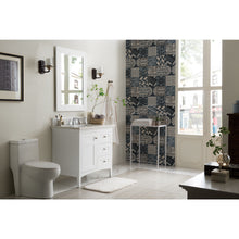 Load image into Gallery viewer, James Martin Palisades 36&quot; Bright White Single Vanity
