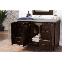 Load image into Gallery viewer, James Martin Portland 48&quot; Burnished Mahogany Single Vanity