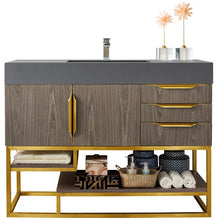 Load image into Gallery viewer, James Martin Columbia 48&quot; Ash Gray - Radiant Gold Single Vanity- James Martin