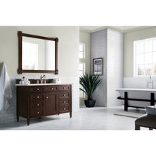 Load image into Gallery viewer, James Martin Brittany 48&quot;Burnished Mahogany Single Vanity