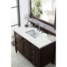Load image into Gallery viewer, James Martin Brittany 48&quot;Burnished Mahogany Single Vanity